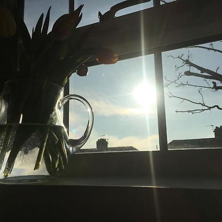 Brighton Boutique Garden Studio With Free Parking ภายนอก รูปภาพ